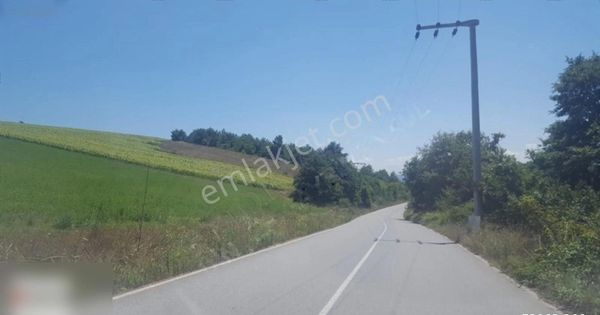 Söğütlü Sıra Köyde 30200 M2 Tarla Mükemmel Konum