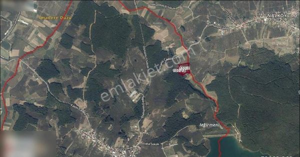 Ferizli Sarıahmetlerde 12900 M2 Bakımlı Fındık Bahçesi