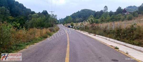 Bakacak-kartepe Anayola Sıfır Yaz Kış Akan Dere İçinde Orman
