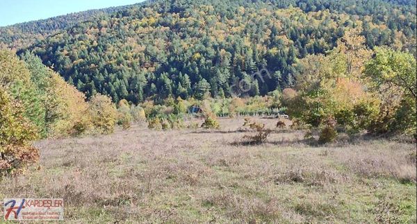 Sakarya Pamukova Bakacak Mah. Orman Manzaralı Yatırımlık Arazi