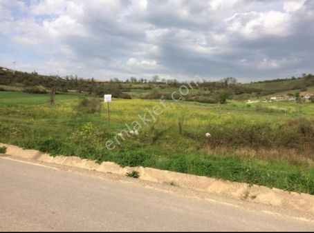 Körfez Alihocalar Köyü Yola Yakın Harika Konumda 5447 M2 Tarla