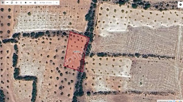 Aytekin Gayrimenkulden Merkez Çukurobada Satılık Zeytinlik