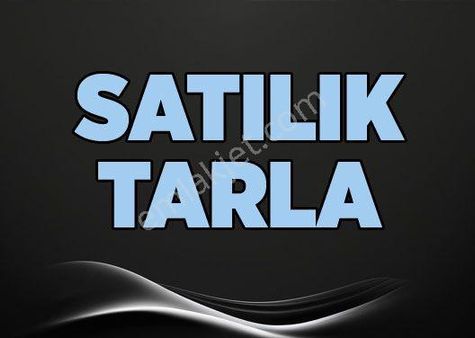 Edremit Doğanlar Mahahlesinde Satılık Tarla