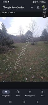 Saltoğlu’ndan Dağdibin De Tarla