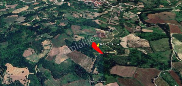 Roma' Dan Maden Köyun'de Satılık Tarla