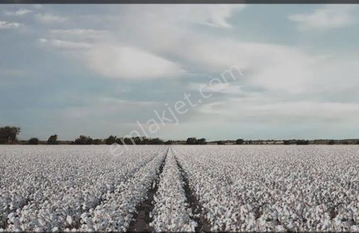Söke Mimarsan Emlak, Aydın Söke Doğanbey'de Satılık Tarla