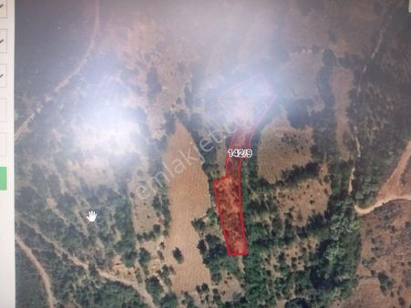 Asil Emlaktan Satılık Tarla