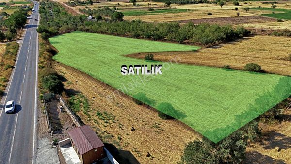 Bodrum Mumcular Ana Yol Üzeri 5755 M2 Satılık Tarla