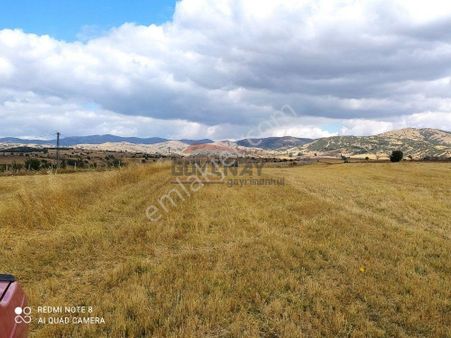 Güvenay - Çorum Silim Kent Toki Konutları Arkası 500 M² Satılık Bahçe