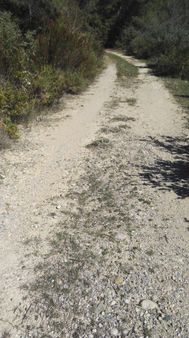 Manavgat Bereket Mah Tepede 349 M2 Satılık Arsa 1800000tl