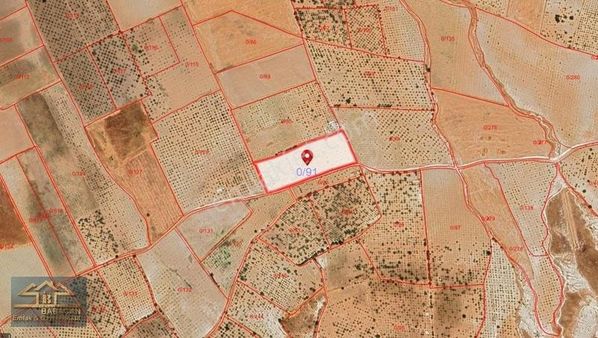 Babacandan Horzum'da 15.555m2 Satılık Fıstıklık