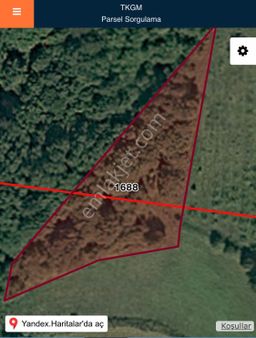 Adapazarı Salmanlıda Göl Manzaralı 2140 M2 Koruluk Bahçe