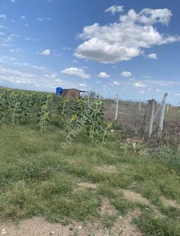 Ergene Misinli 350 M2 Ana Cadde Üstünde Satılık Arsa