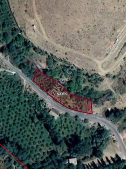 Çamardıda Yol Kenarı Bahçe