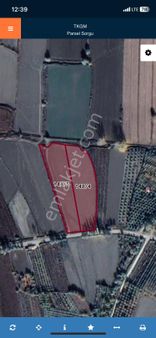 Amasya Suluova Eraslan Köyü Satılık Tarla 16812 Mk.