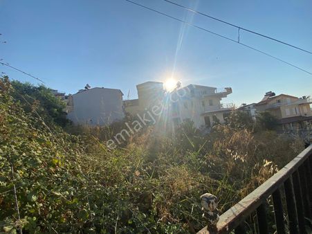 Efes Evlerinde Satılık 2 Adet Arsa +triplex Toplu Satılık