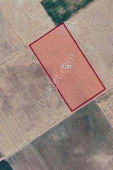 Sezenler Emlaktan Karaman Kazımkarabekir Kızılkuyu Mahallesi'nde Satılık Tarla