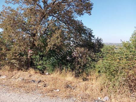 İstanbulbursa-balıkesir-izmir Otoyol Ortasında Susurluk Ta