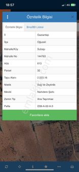 Seytin Bag Ve Fıstık