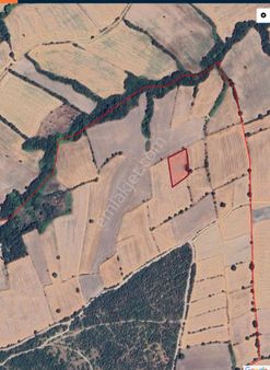 Balıkesir Gönen Yeniakçapınar Köyümüz'de 3.100m² Tarlamız Satışa Sunulmuştur