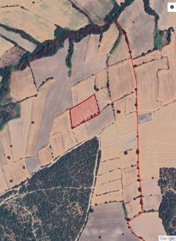 Balıkesir Gönen Yeniakçapınar Köyümüz'de 8.650m² Tarlamız Satışa Sunulmuştur