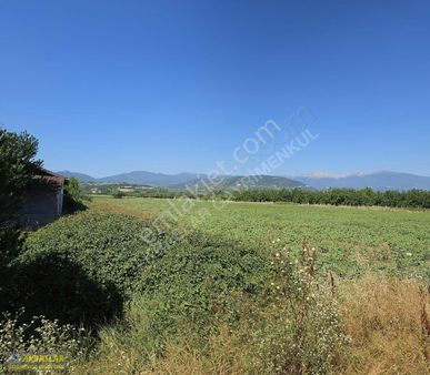 Ortaköy Yolu Üzerinde Satılık Tarla ( Akbaşlar Emlak Güvencesi )