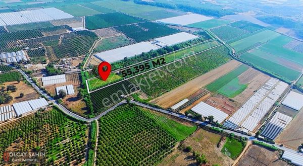 Serik Karadayı Bölgesinde 55.000 M2 Satılık Müstakil Tarla