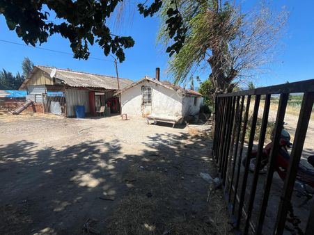 Burhaniyede Hem Çiftlik Hem Tarla Olarak Kullanabileceğiniz 4 Dönüm Arazi