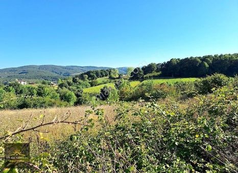 Serdivan/ Kızılcıklı Mahallesinde Satılık Harika Manzaralı Tarla