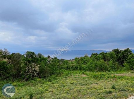 Sapanca Uzunkum'da Göl Manzaralı Arazi