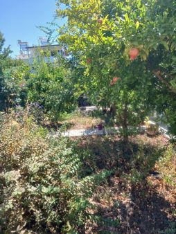 Dikili Kabakum Bankacılar Sitesinde Satılık Deniz