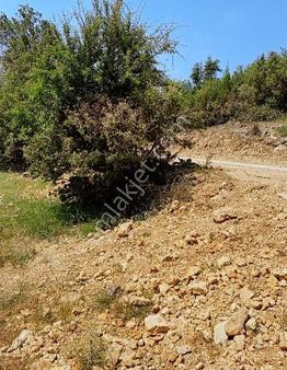 Mersin Erdemli Kargagediğinde Satılık Tarla