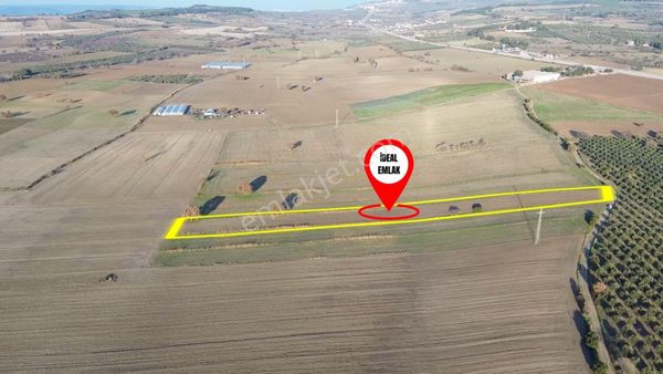 Çanakkale Merkez Halileli Köyünde Yatırımlık Değerli Mevkide 5507 M2 Tarla