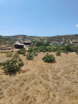 Bayındır Gayrimenkul - Tire Işıklar Satılık 4.410m3 Tarla