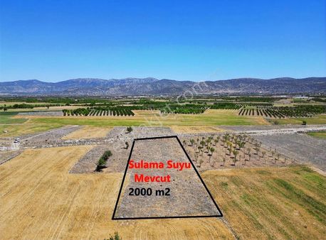 Korkuteli Küçükköyde Bayat Ovasında 2000 M2 Sulu Arazi