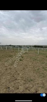 Mç Emlaktan Ayaş Feruz Da Satılık Tarla