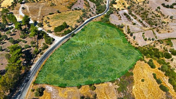 Bodrum Mumcular'da Satılık Zeytinlik - 9465 M²