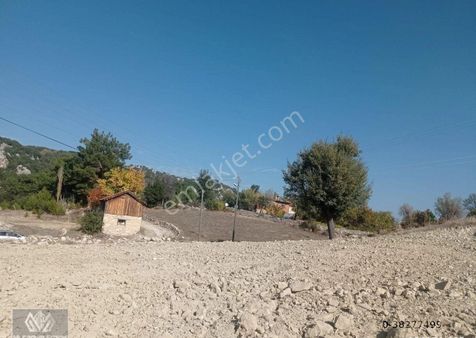 Denizli Çameli Kirazlıyayla Köyünde Satılık Arsa