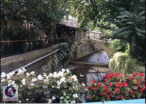 İzmir-bayındır-dereköy De Üretim Yolu Olan 4238 M2 Zeytinlik