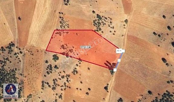 Konya-güneysınır-kayaağzı Kadastral Yollu 9302 M2 Satılık Tarla