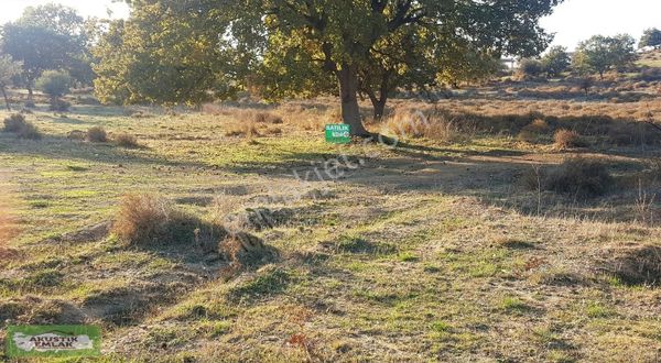 Akustik Emlak Tan Seferihisar,da Satılık İmarlı Arsa