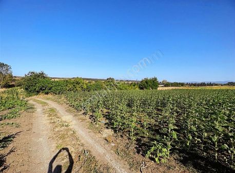 Görükle Otobana Yakın Kupon 1050 Mt Hisseli Satılık Tarla