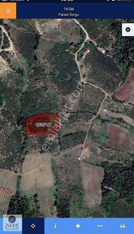 Geyve İhsaniye Köyünde Satılık Tarlalar