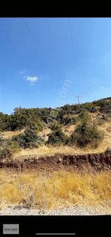 İzmir/menemen/çaltı Mh: 23.039 M2'nin %50'si Satılık Tarla