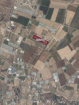 İzmir Menderes Bulgurca Mahallesi'nde Satılık Tarla