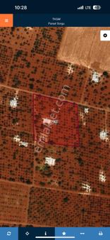 Kılıç Group Gayrimenkul Mehmet Kılıç'dan 52 Yaşında Fıstıklık