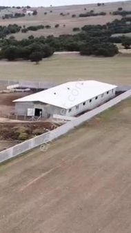 Kırklareli Merkez Uskup Beldesinde Satılıklar Cıflık