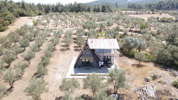 İzmir Ataköy'de Satılık Tek Tapu 2.260 M2 Muhteşem Dağ Evi Zeytinlik