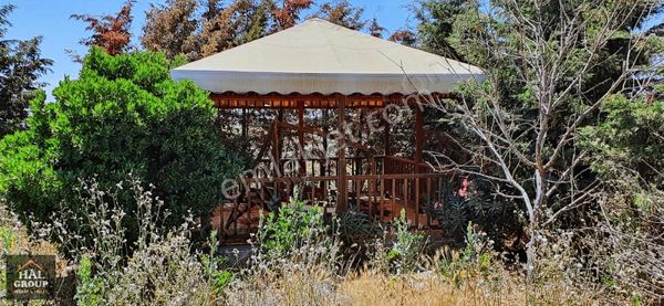 ╭╯hâl Group╰╮ Emsalsiz Satılık Ceviz Bahçesi