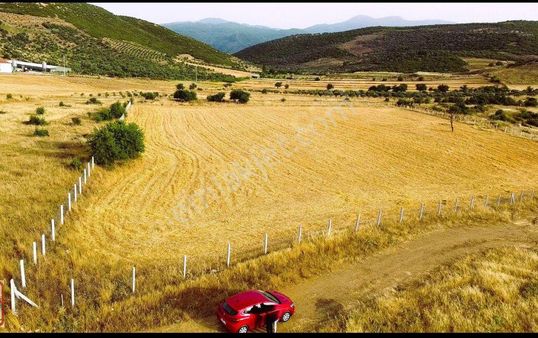 Tire Kurşak'ta Çiftlik Yapımına Uygun Arazi
